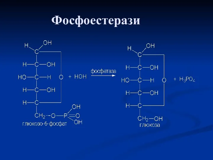 Фосфоестерази