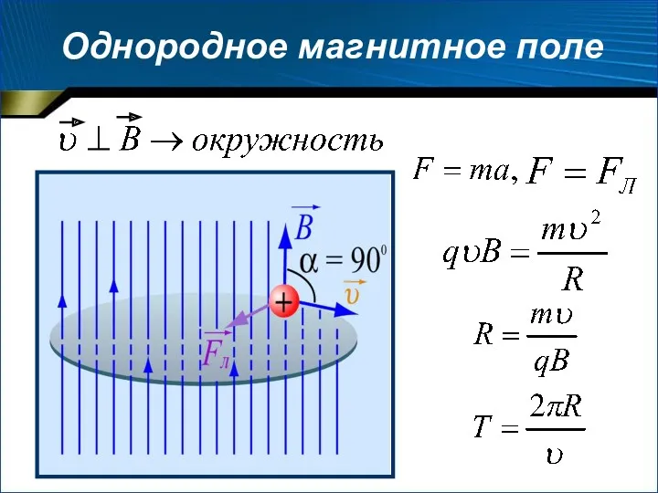 Однородное магнитное поле