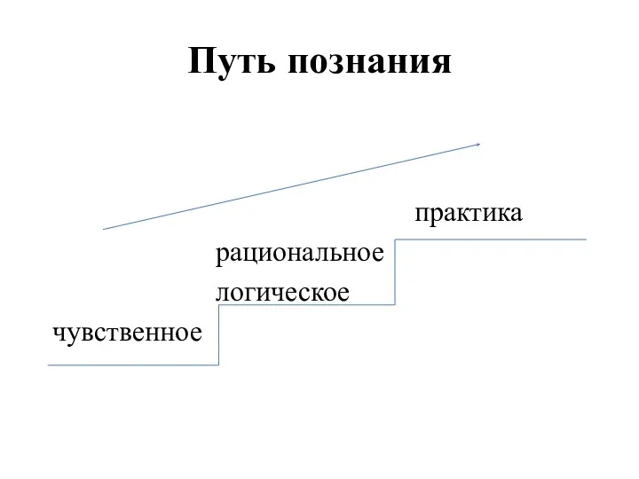 Путь познания практика рациональное логическое чувственное