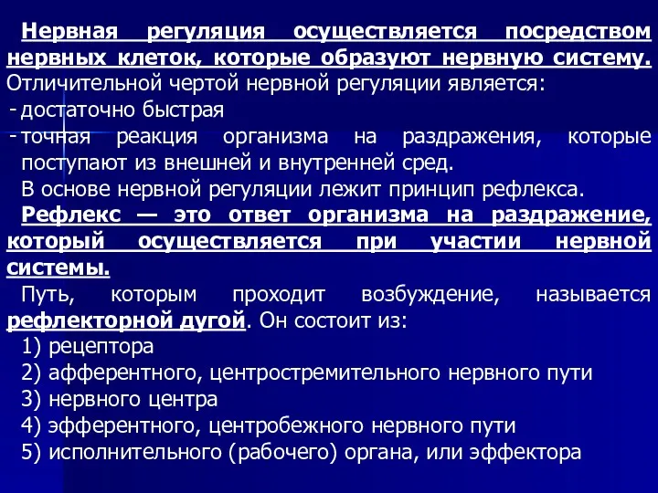 Нервная регуляция осуществляется посредством нервных клеток, которые образуют нервную систему.