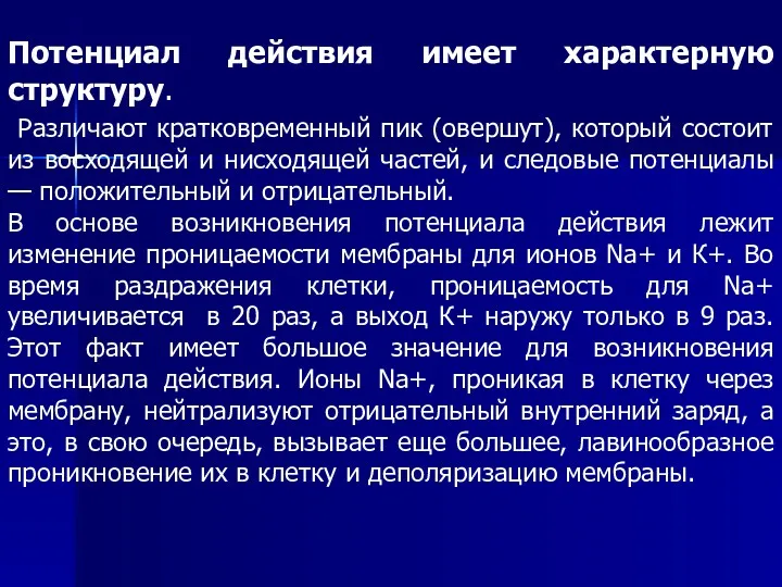 Потенциал действия имеет характерную структуру. Различают кратковременный пик (овершут), который