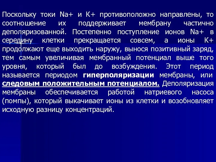 Поскольку токи Nа+ и К+ противоположно направлены, то соотношение их