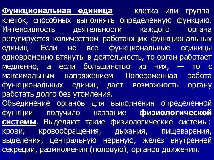 Функциональная единица — клетка или группа клеток, способных выполнять определенную