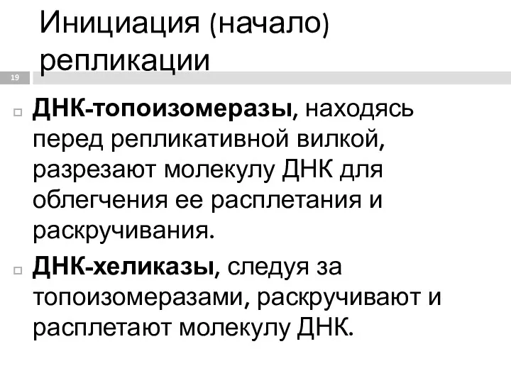 Инициация (начало) репликации ДНК-топоизомеразы, находясь перед репликативной вилкой, разрезают молекулу