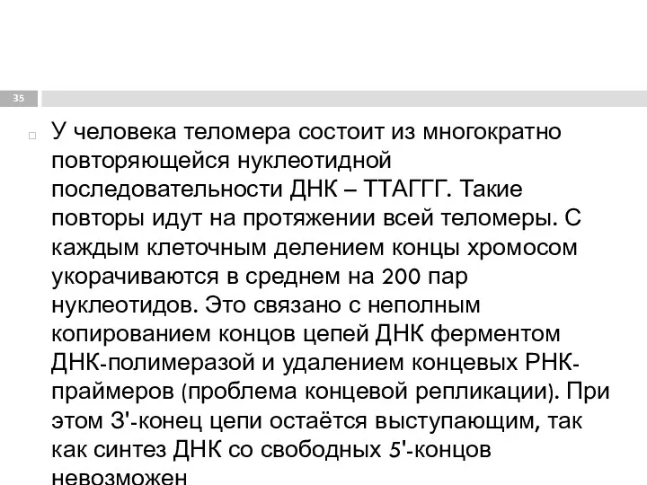 У человека теломера состоит из многократно повторяющейся нуклеотидной последовательности ДНК