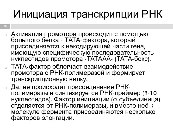 Инициация транскрипции РНК Активация промотора происходит с помощью большого белка