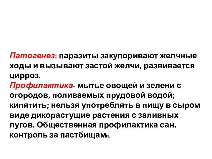 Патогенез: паразиты закупоривают желчные ходы и вызывают застой желчи, развивается