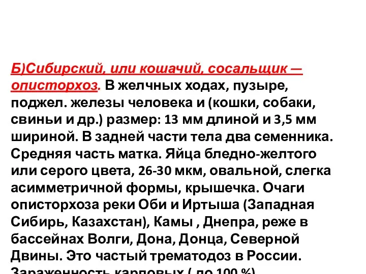 Б)Сибирский, или кошачий, сосальщик — описторхоз. В желчных ходах, пузыре,