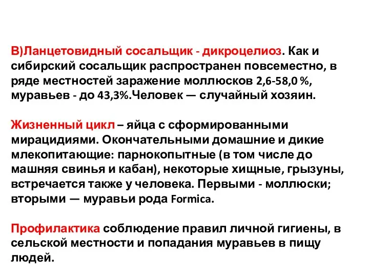 В)Ланцетовидный сосальщик - дикроцелиоз. Как и сибирский сосальщик распространен повсеместно,