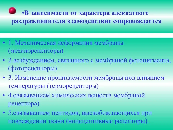 В зависимости от характера адекватного раздражиниителя взамодействие сопровождается 1. Механическая