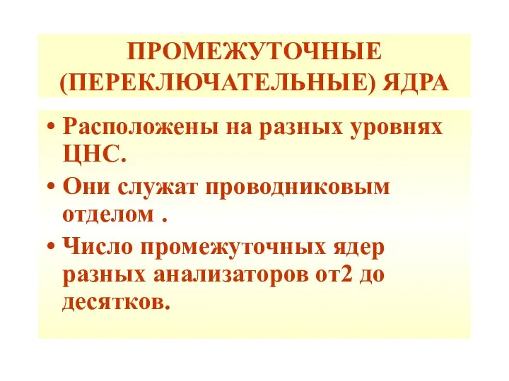 ПРОМЕЖУТОЧНЫЕ (ПЕРЕКЛЮЧАТЕЛЬНЫЕ) ЯДРА Расположены на разных уровнях ЦНС. Они служат