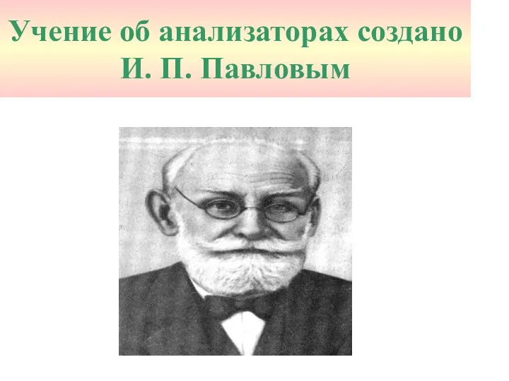 Учение об анализаторах создано И. П. Павловым