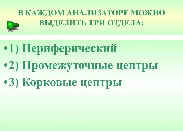 В КАЖДОМ АНАЛИЗАТОРЕ МОЖНО ВЫДЕЛИТЬ ТРИ ОТДЕЛА: 1) Периферический 2) Промежуточные центры 3) Корковые центры