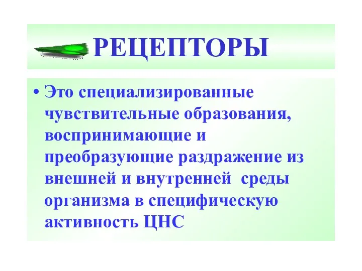 РЕЦЕПТОРЫ Это специализированные чувствительные образования, воспринимающие и преобразующие раздражение из