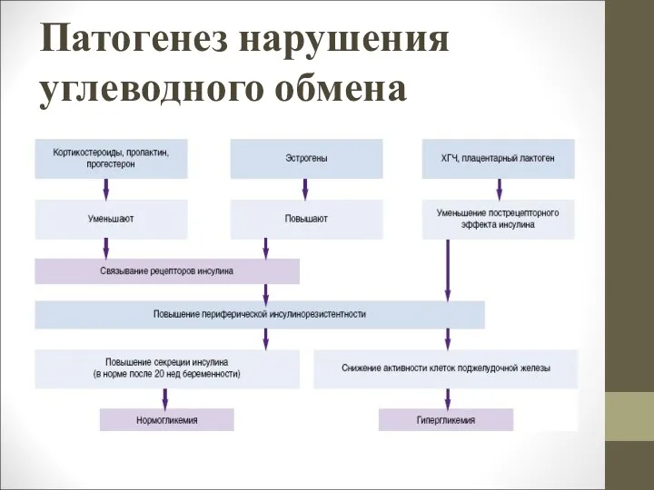 Патогенез нарушения углеводного обмена