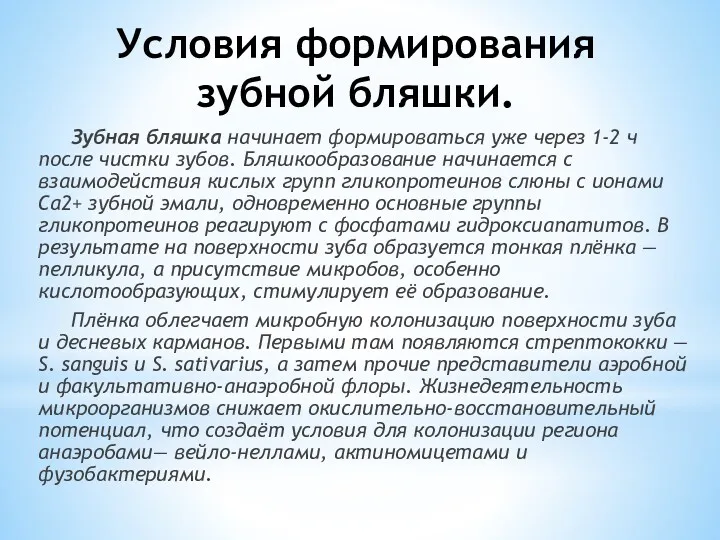 Условия формирования зубной бляшки. Зубная бляшка начинает формироваться уже через