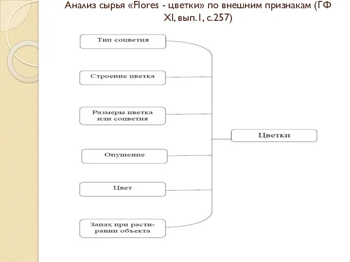 Анализ сырья «Flores - цветки» по внешним признакам (ГФ XI, вып.1, с.257)