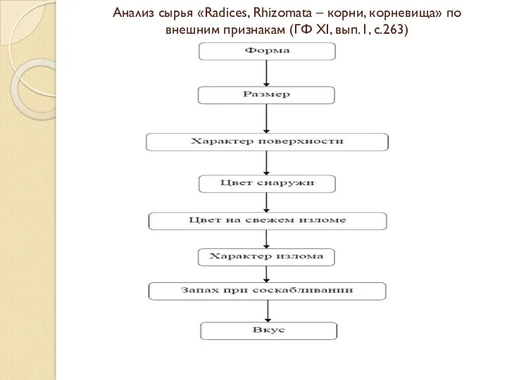 Анализ сырья «Radices, Rhizomata – корни, корневища» по внешним признакам (ГФ XI, вып.1, с.263)