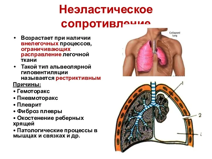 Неэластическое сопротивление Возрастает при наличии внелегочных процессов, ограничивающих расправление легочной