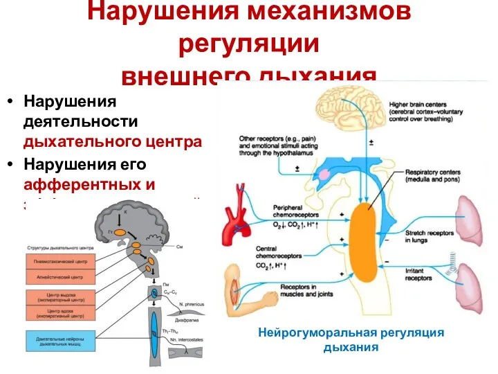 Нарушения механизмов регуляции внешнего дыхания Нарушения деятельности дыхательного центра Нарушения