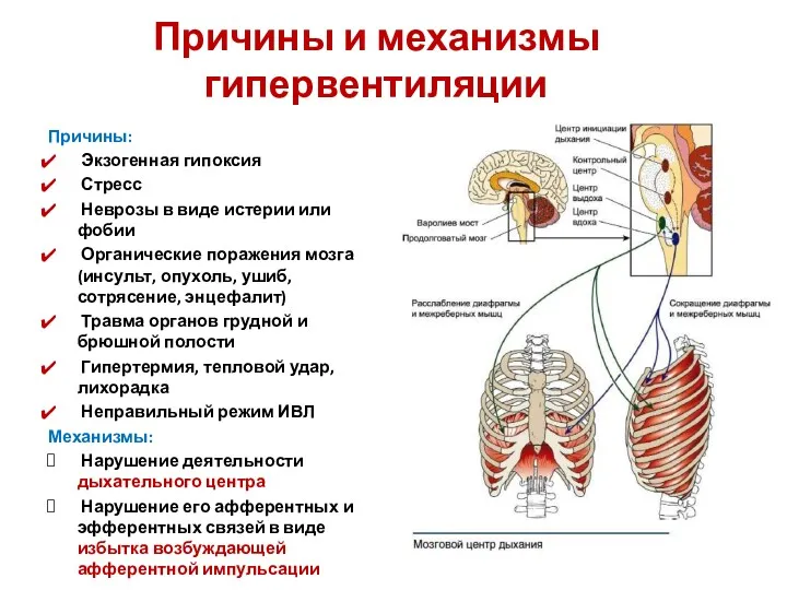 Причины и механизмы гипервентиляции Причины: Экзогенная гипоксия Стресс Неврозы в