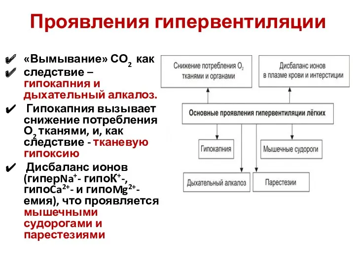 Проявления гипервентиляции «Вымывание» СО2 как следствие – гипокапния и дыхательный