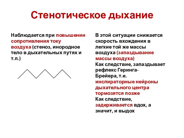 Стенотическое дыхание Наблюдается при повышении сопротивления току воздуха (стеноз, инородное