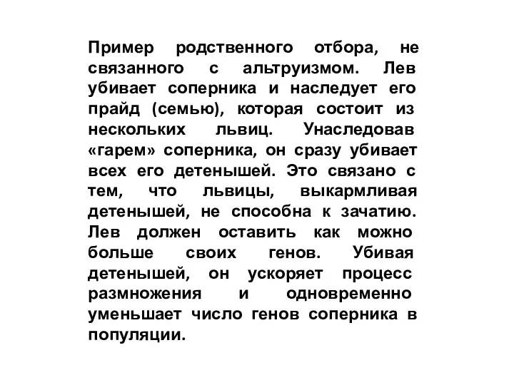 Пример родственного отбора, не связанного с альтруизмом. Лев убивает соперника