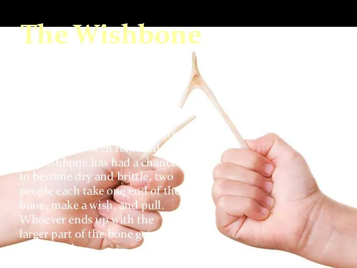 The Wishbone Some families include breaking the turkey's wishbone as