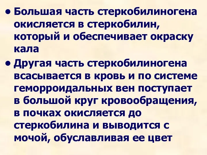 Большая часть стеркобилиногена окисляется в стеркобилин, который и обеспечивает окраску