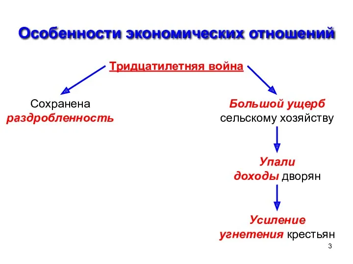 Особенности экономических отношений Тридцатилетняя война Сохранена раздробленность Большой ущерб сельскому