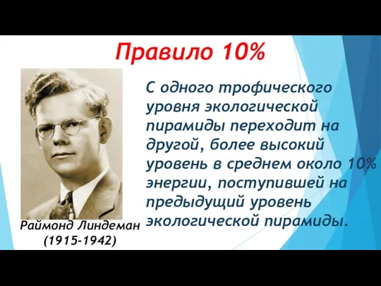 Правило 10% Раймонд Линдеман (1915-1942) С одного трофического уровня экологической