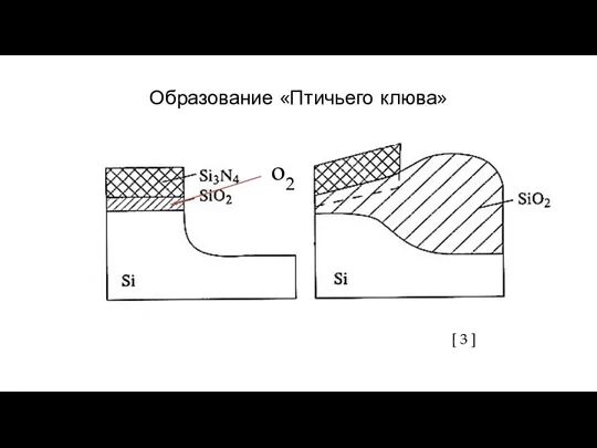 Образование «Птичьего клюва» [ 3 ] o2