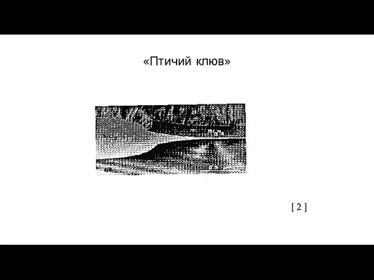 «Птичий клюв» [ 2 ]