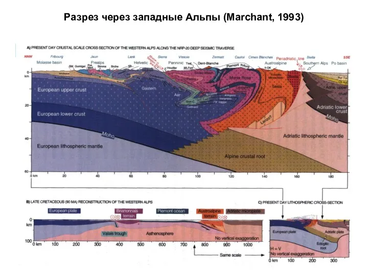 Разрез через западные Альпы (Marchant, 1993)