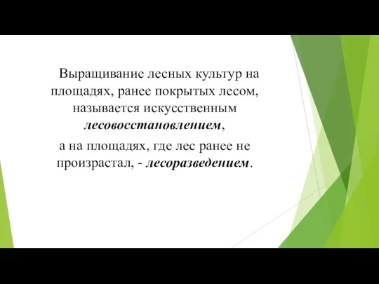 Выращивание лесных культур на площадях, ранее покрытых лесом, называется искусственным