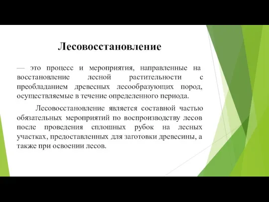 Лесовосстановление — это процесс и мероприятия, направленные на восстановление лесной