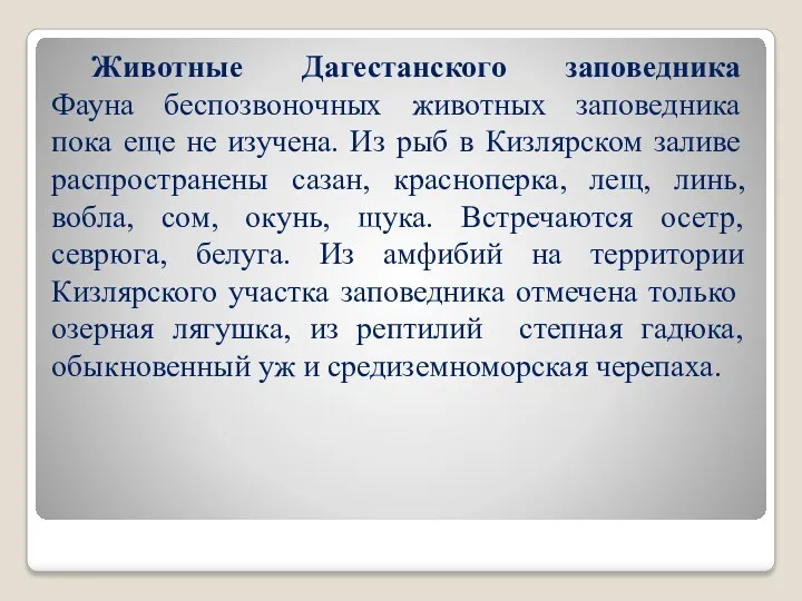 Животные Дагестанского заповедника Фауна беспозвоночных животных заповедника пока еще не