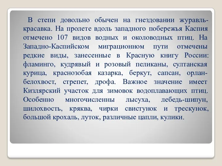 В степи довольно обычен на гнездовании журавль-красавка. На пролете вдоль