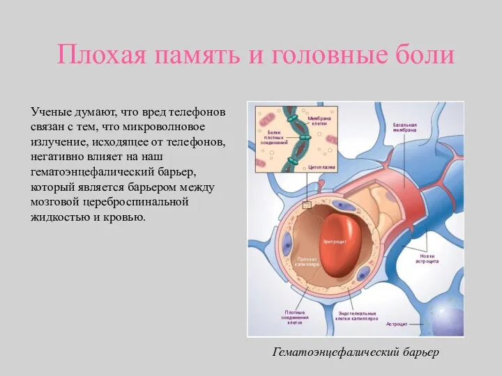 Плохая память и головные боли Ученые думают, что вред телефонов