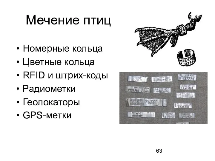Мечение птиц Номерные кольца Цветные кольца RFID и штрих-коды Радиометки Геолокаторы GPS-метки