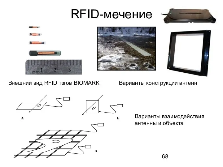 RFID-мечение Внешний вид RFID тэгов BIOMARK Варианты конструкции антенн Варианты взаимодействия антенны и объекта