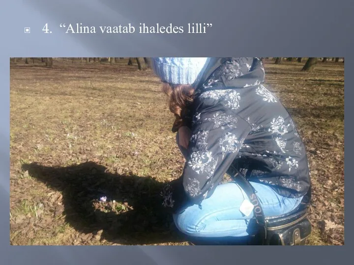 4. “Alina vaatab ihaledes lilli”