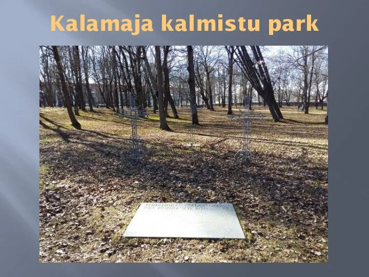 Kalamaja kalmistu park