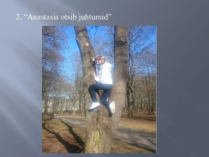 2. “Anastasia otsib juhtumid”