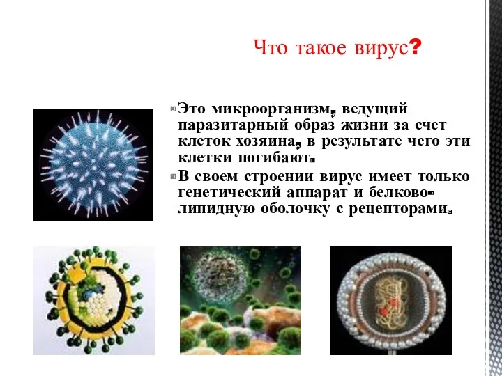 Что такое вирус? Это микроорганизм, ведущий паразитарный образ жизни за