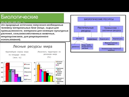 Биологические ресурсы: это природные источники получения необходимых человеку материальных благ