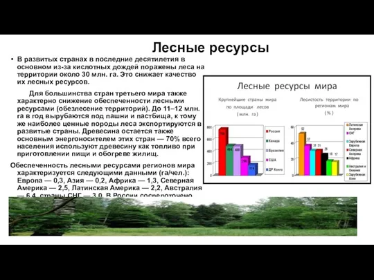 Лесные ресурсы В развитых странах в последние десятилетия в основном