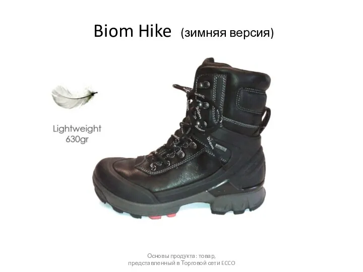 Biom Hike (зимняя версия) Основы продукта: товар, представленный в Торговой сети ECCO