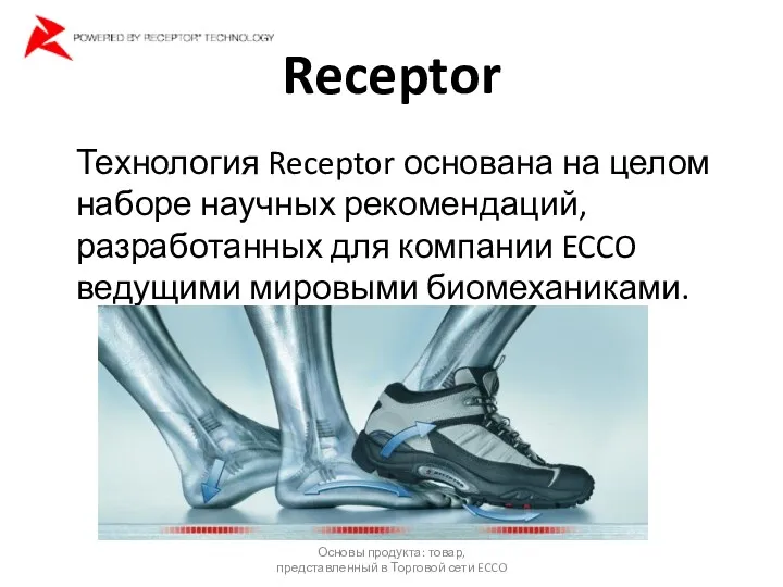 Receptor Технология Receptor основана на целом наборе научных рекомендаций, разработанных